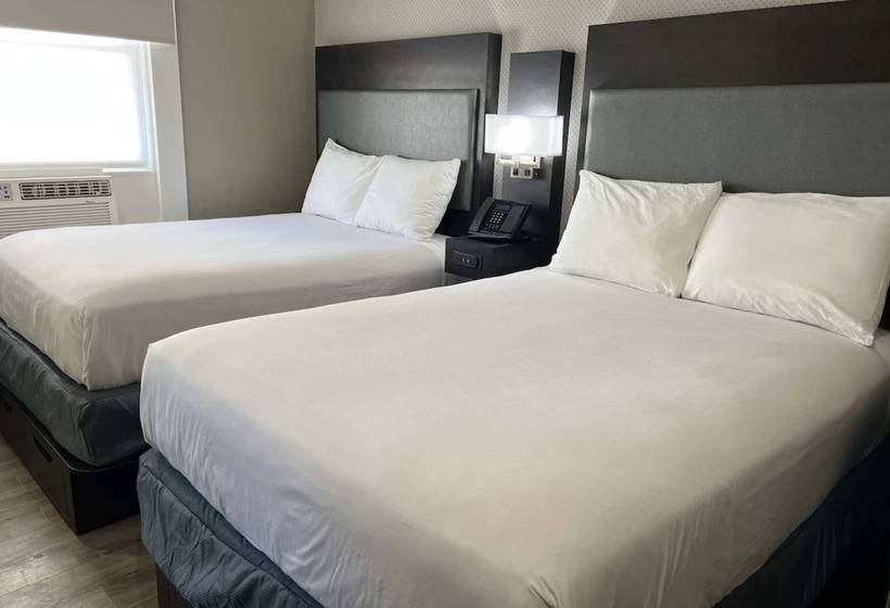 فندق Super 8 By Wyndham San Francisco/union Square Area