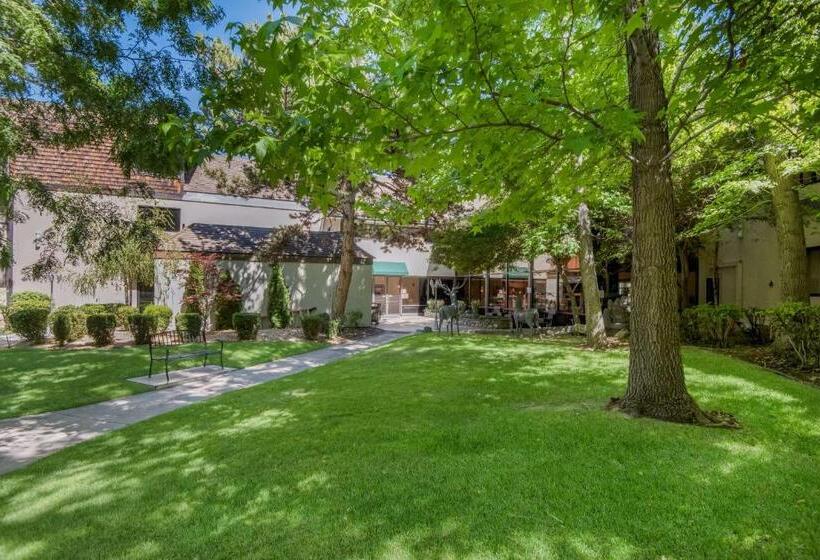 Surestay Plus Hotel By Best Western Reno Airport