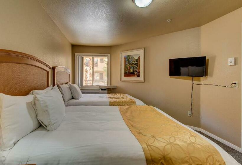 Отель The Rita Suites