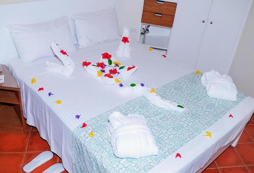 هتل Dahab Lagoon Club & Resort Ex Tirana Dahab