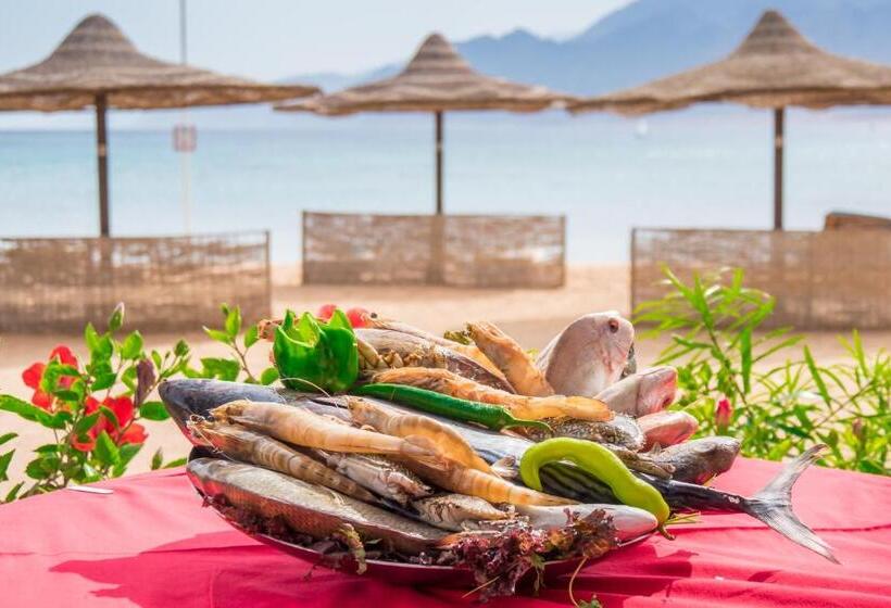 هتل Dahab Lagoon Club & Resort Ex Tirana Dahab