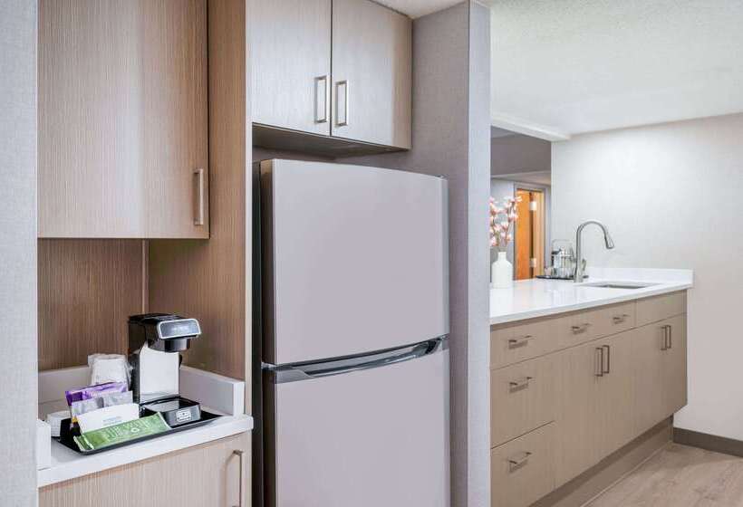 هتل Wyndham Indianapolis Airport