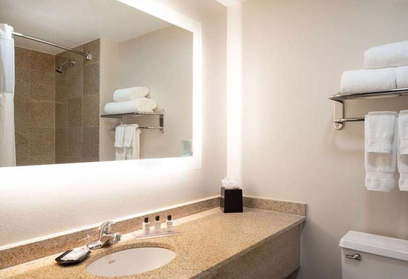 هتل Wyndham Indianapolis Airport