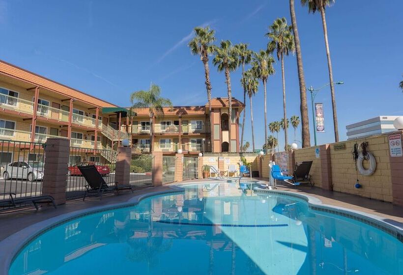 汽车旅馆  Super 8 By Wyndham Anaheim/disneyland Drive