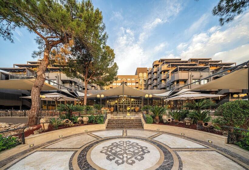 渡假胜地  Balmy Foresta