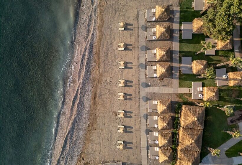 渡假胜地  Balmy Foresta