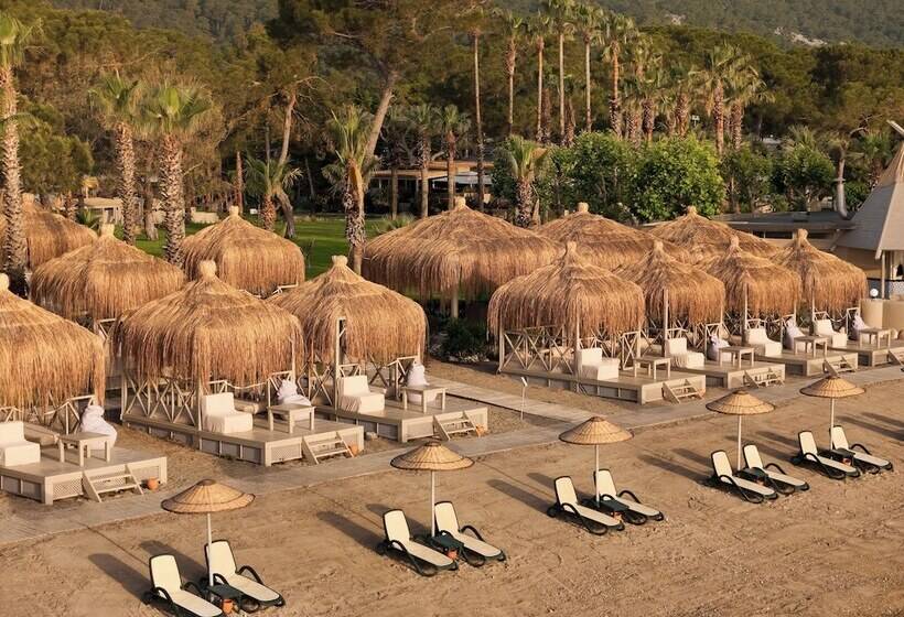 渡假胜地  Balmy Foresta