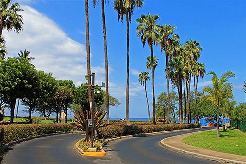 리조트 Kamaole Sands 4 410