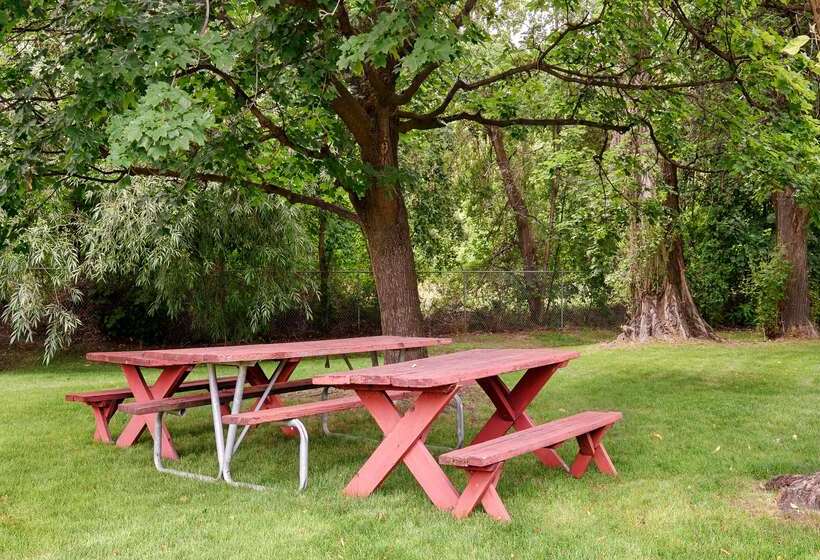 Baugh Motel, Surestay Collection By Best Western