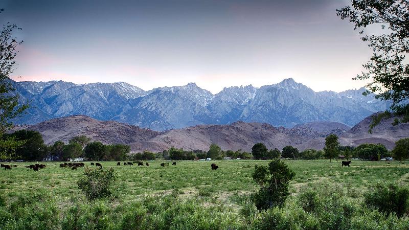 Best Western  Frontier Motel