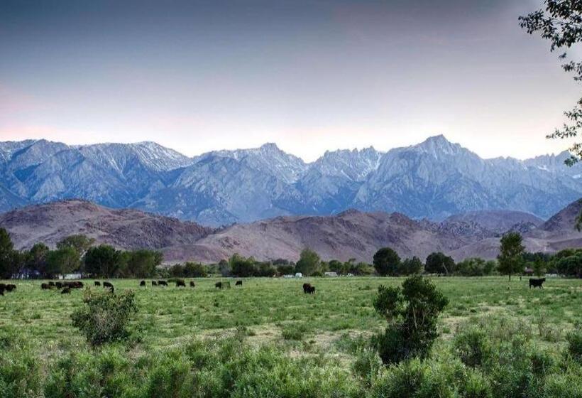 Best Western  Frontier Motel