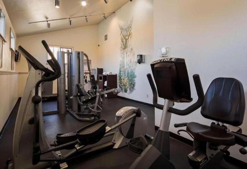 Best Western  Frontier Motel