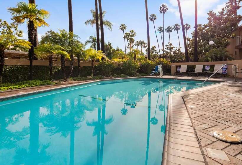 Best Western Pine Tree Motel