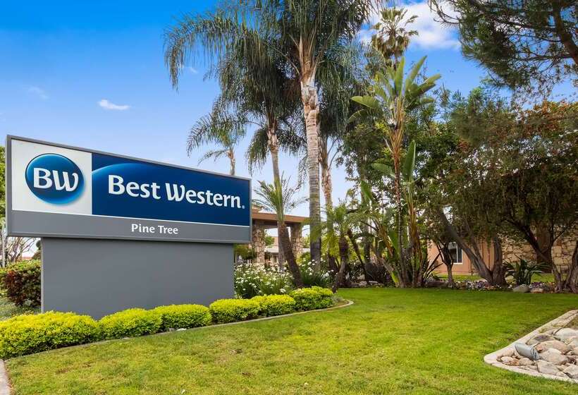 Best Western Pine Tree Motel