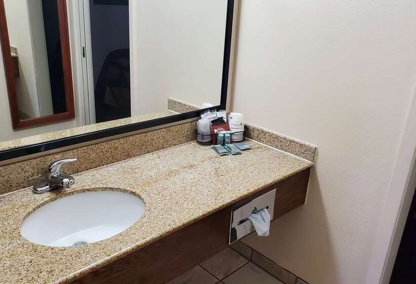 Best Western Plains Motel