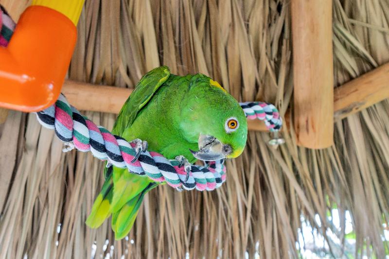 Best Western Plus Beach Resort