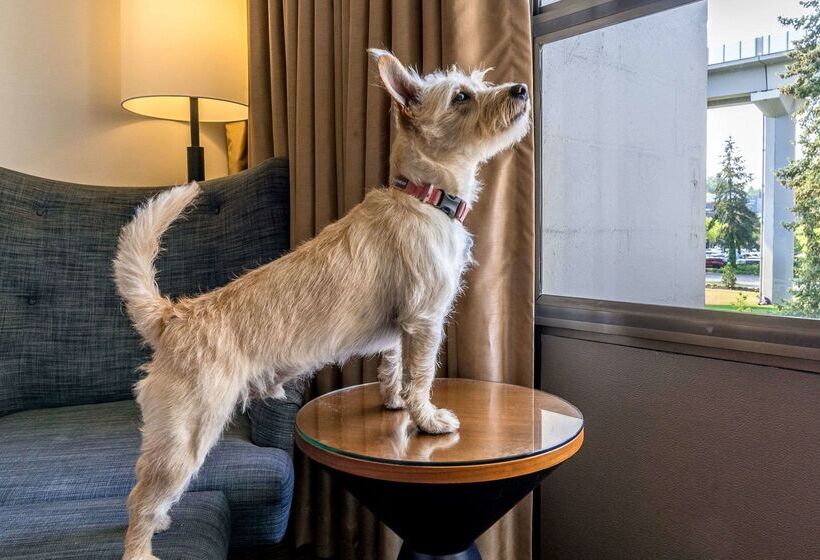 116, A Coast Hotel Bellevue