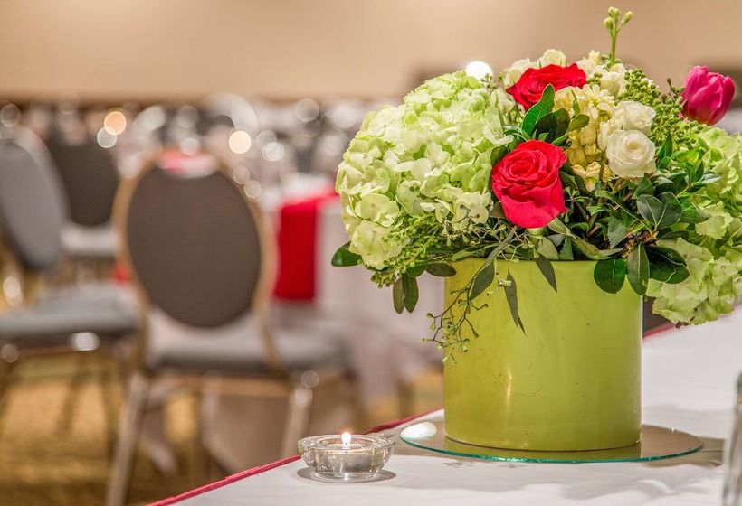 116, A Coast Hotel Bellevue