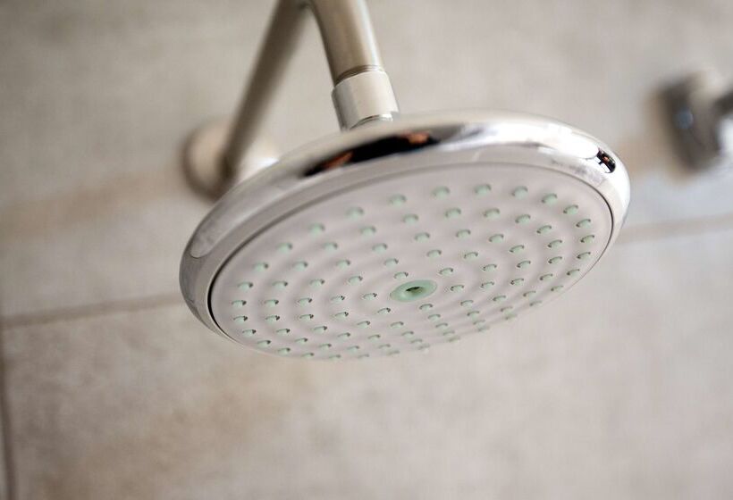 116, A Coast Hotel Bellevue