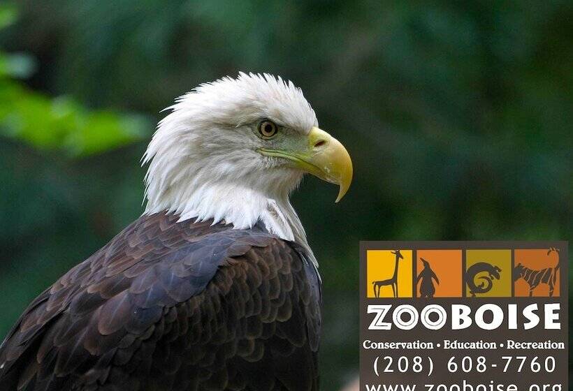 בית מלון כפרי Airport Inn