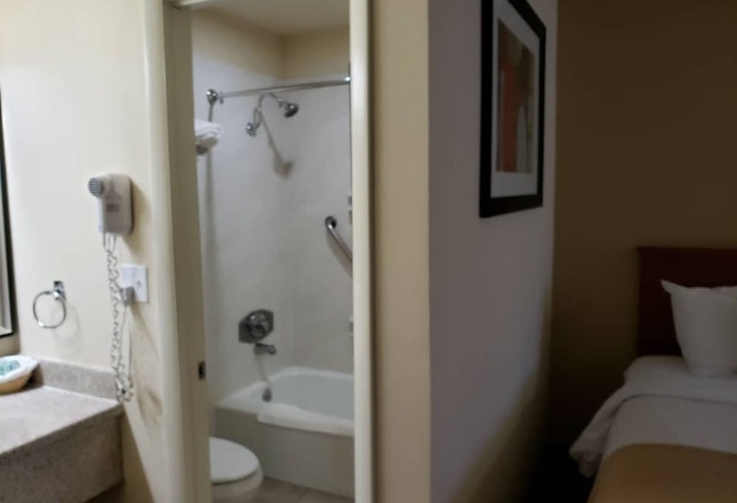 בית מלון כפרי Airport Inn