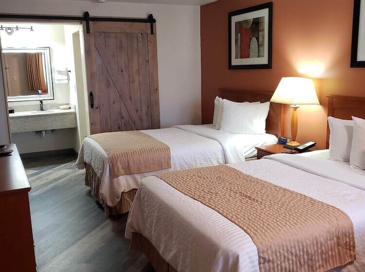 בית מלון כפרי Airport Inn