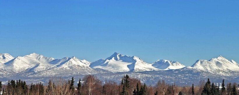 Alex Hotel And Suites