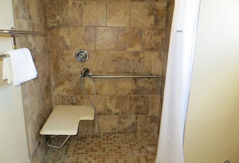 בית מלון כפרי American Inn Stockton