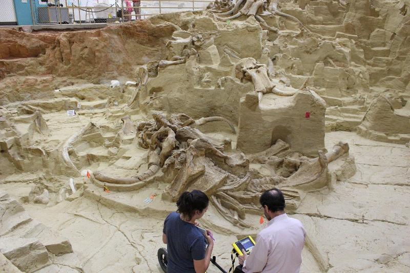 فندق Americas Best Value Inn By The River Hot Springs