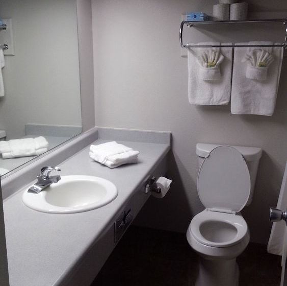 בית מלון כפרי B.a.s.i.c. Lodgings