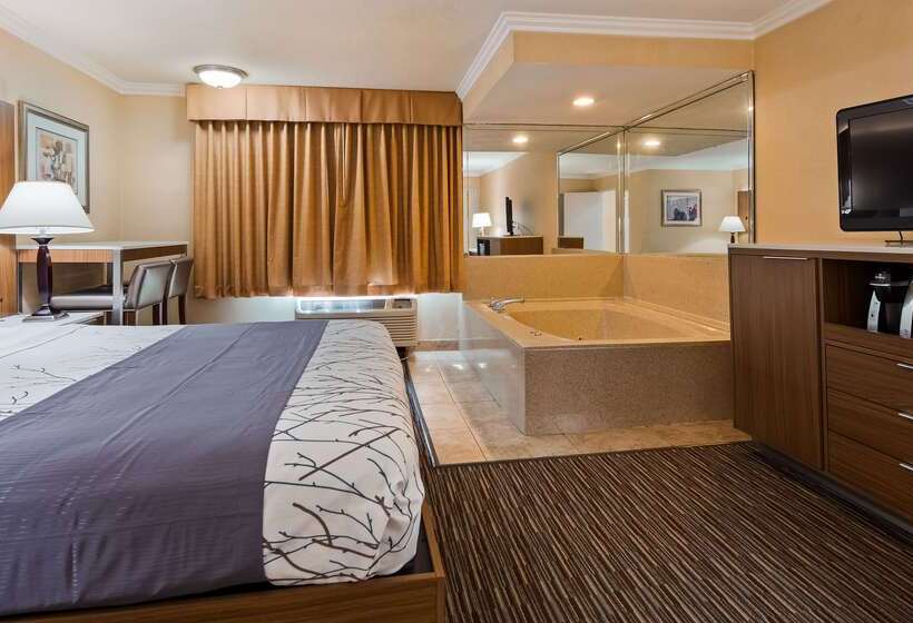 Best Western Airpark Hotel   Los Angeles Lax Airport