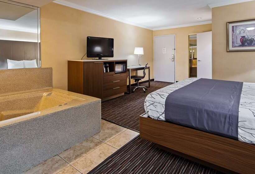 Best Western Airpark Hotel   Los Angeles Lax Airport
