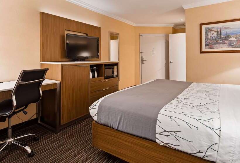 Best Western Airpark Hotel   Los Angeles Lax Airport