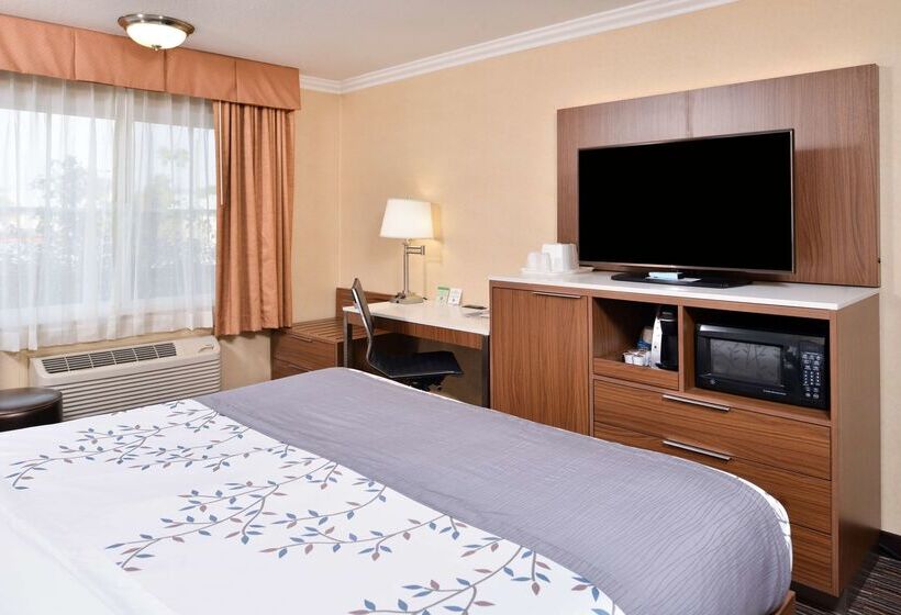 Best Western Airpark Hotel   Los Angeles Lax Airport
