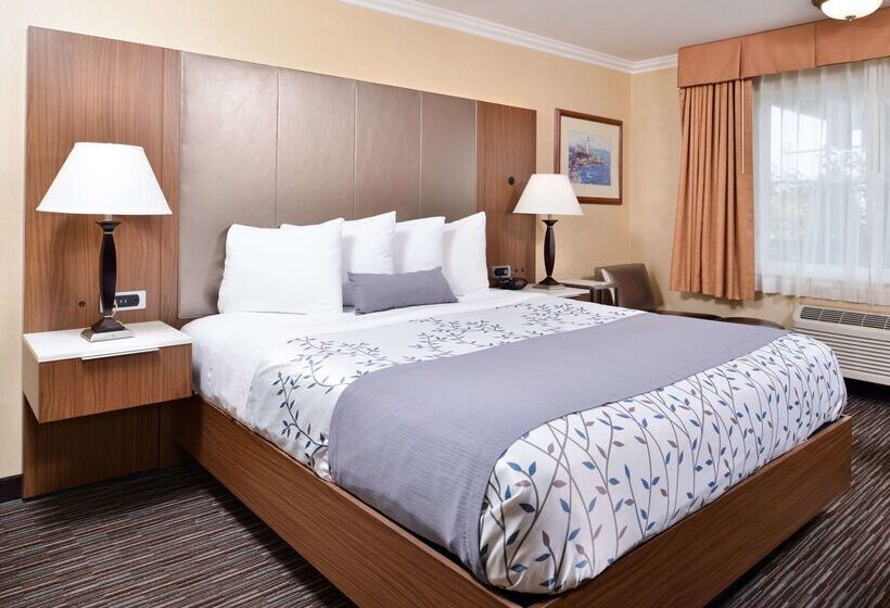 Best Western Airpark Hotel   Los Angeles Lax Airport