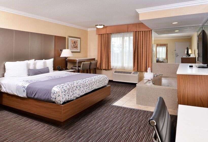 Best Western Airpark Hotel   Los Angeles Lax Airport
