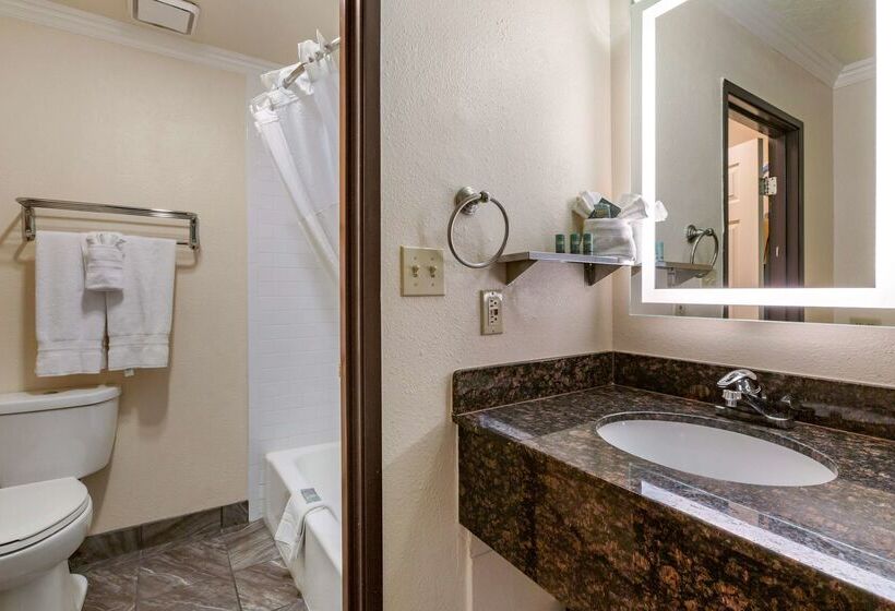 Best Western Airport Albuquerque Innsuites Hotel & Suites