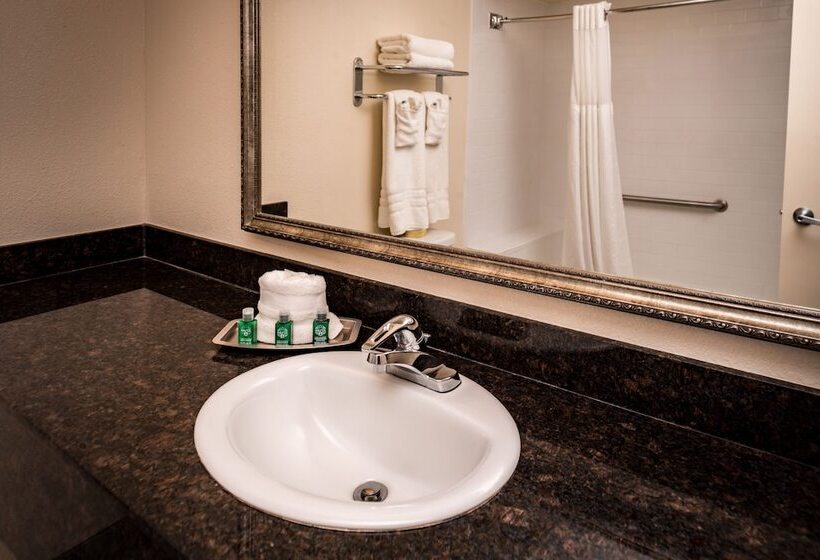 Best Western Airport Albuquerque Innsuites Hotel & Suites