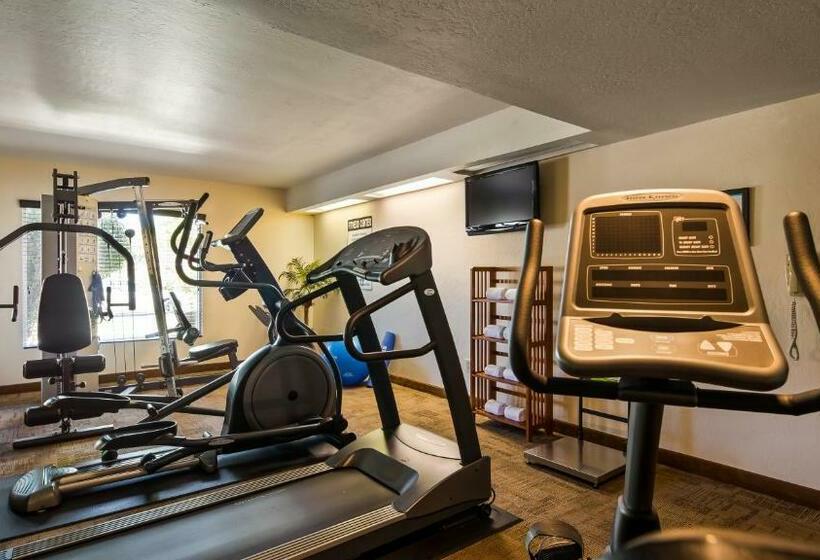 هتل Best Western Airport Inn