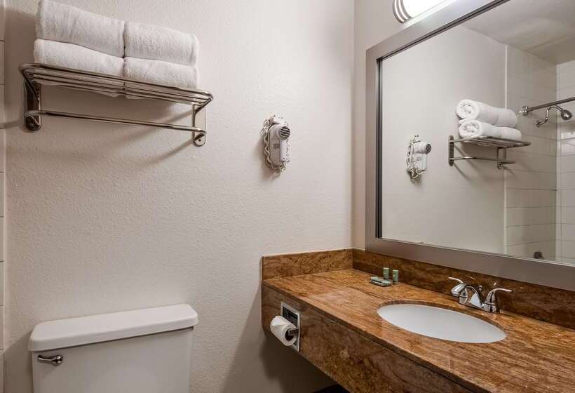 فندق Best Western Aladdin Inn