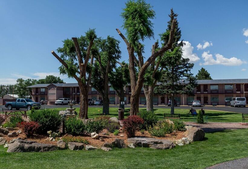 فندق Best Western Alamosa Inn