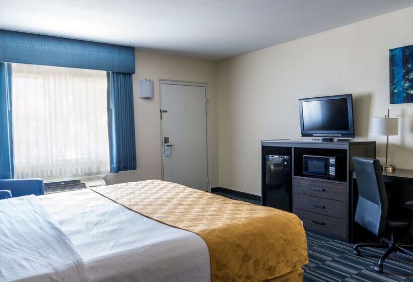 فندق Best Western Alamosa Inn