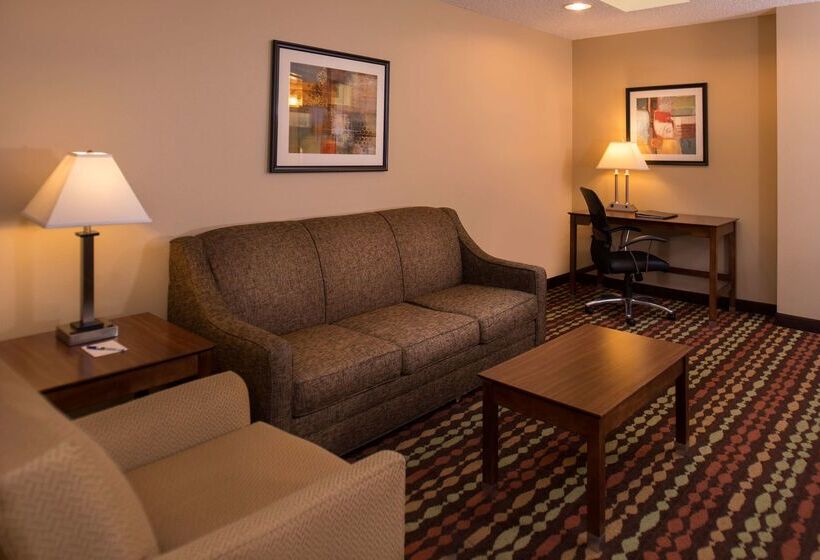 酒店 Best Western Ambassador Inn & Suites