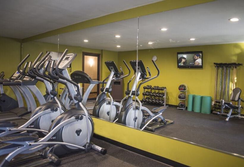 酒店 Best Western Ambassador Inn & Suites