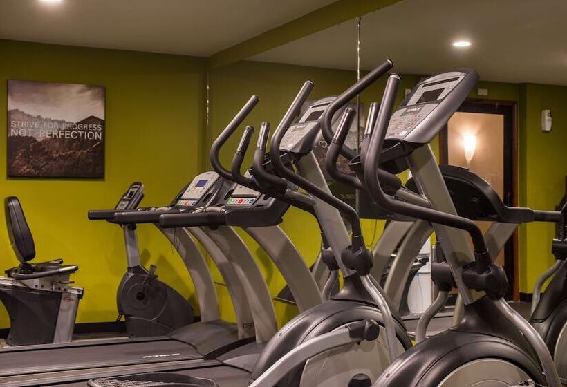 酒店 Best Western Ambassador Inn & Suites