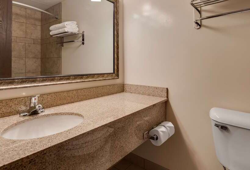 酒店 Best Western Angus Inn