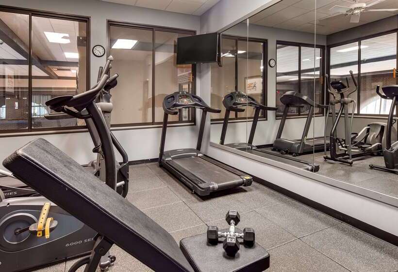 酒店 Best Western Angus Inn