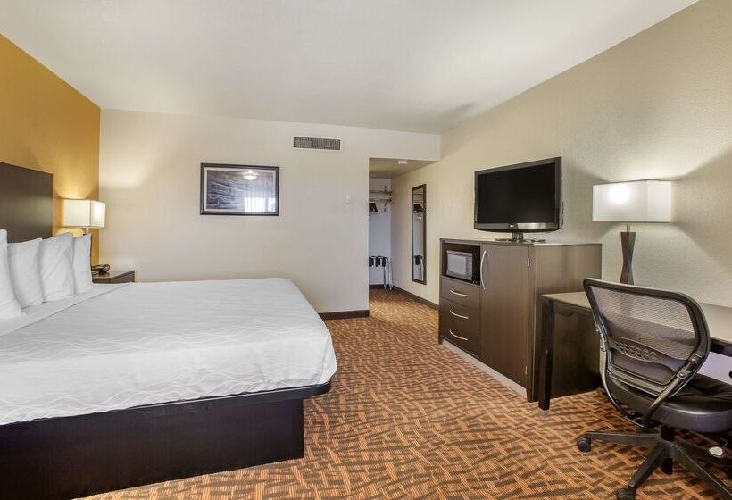 فندق Best Western Arizonian Inn