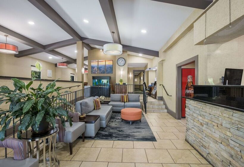 호텔 Best Western Asheville Blue Ridge Parkway