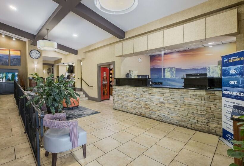 酒店 Best Western Asheville Blue Ridge Parkway